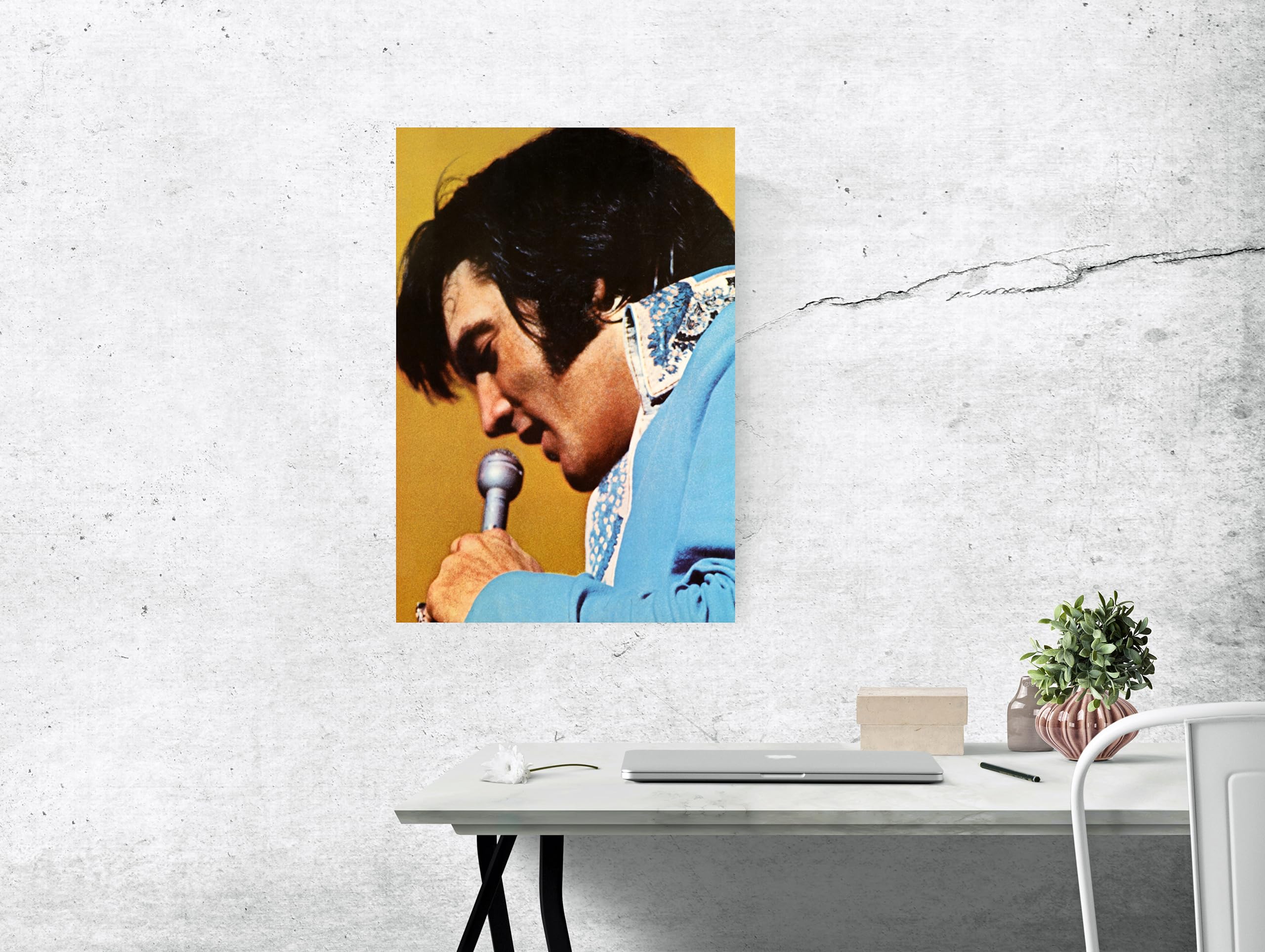 Amazon.com: Posters Forever Elvis Presley Poster, King of Rock